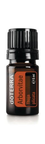 Obrie tuja olej 5 ml -  Arborvitae