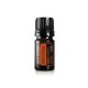 Obrie tuja olej 5 ml -  Arborvitae