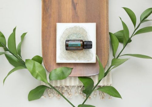 doTerra Ciprus olaj 15 ml, Cypress