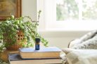 doTerra Deep Blue olaj keverék 5 ml