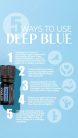 doTerra Deep Blue olaj keverék 5 ml