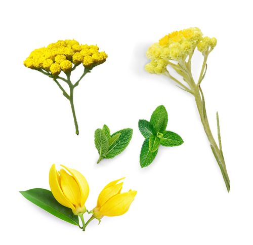 doTerra Deep Blue Krém 120 ml, Rub