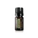 Duglászfenyő olaj - önálló doTERRA olaj 5 ml (Douglas Fir)