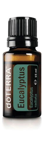 Eucalyptus oil 15 ml