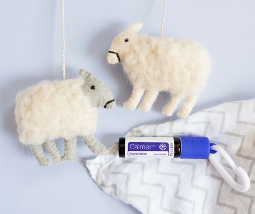 doTerra Gyerek, Kids Collection - belépőcsomag