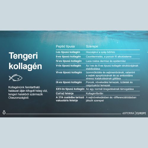 doTerra MetaPWR csomag 5 db készlet