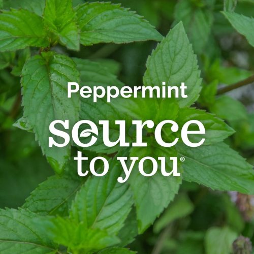 doTerra Borsmenta olaj 15 ml, Peppermint
