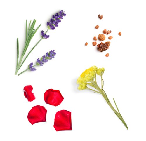 doTerra Salubelle Touch olaj keverék 10 ml