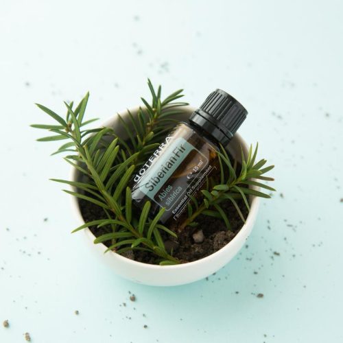 doTerra Szibériai Fenyő olaj 15 ml, Siberian Fir
