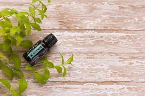 doTerra Fodormenta olaj 15 ml, Spearmint