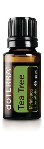 Teafa olaj - önálló doTERRA olaj 15 ml (Tea Tree)