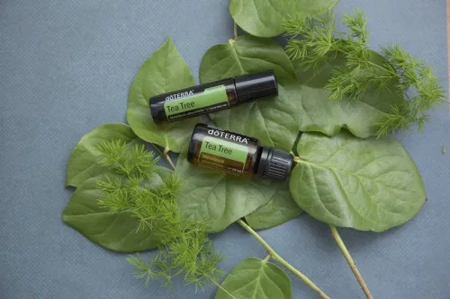 doTerra Teafa Touch olaj 10 ml, Tea Tree Touch