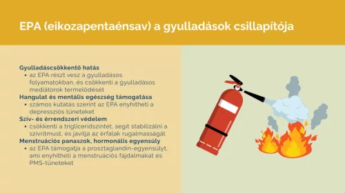 doTerra xEO Mega 120 kapszula